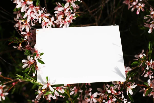 带鲜花的顶视图背景 花组成 与植物的模拟卡 在绿色背景上用明信片和鲜花进行模拟 — 图库照片