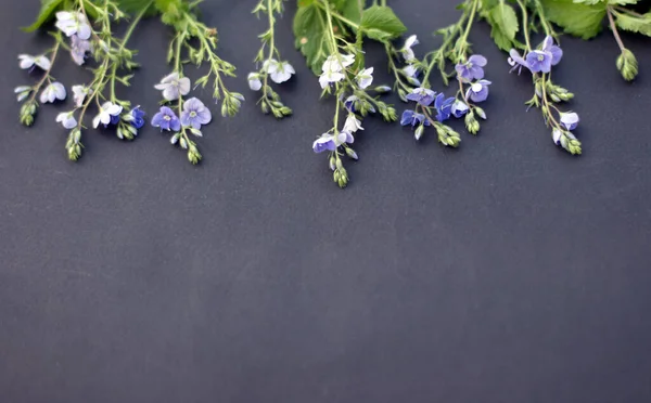 Fondo Vista Superior Con Marco Flores Azules Composición Flores Tarjeta — Foto de Stock