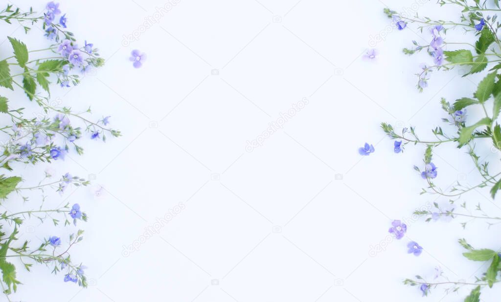 Top view background with white flowers. Flowers composition. Mockup card with plants with copyspace. Mockup with postcard and flowers on white background.