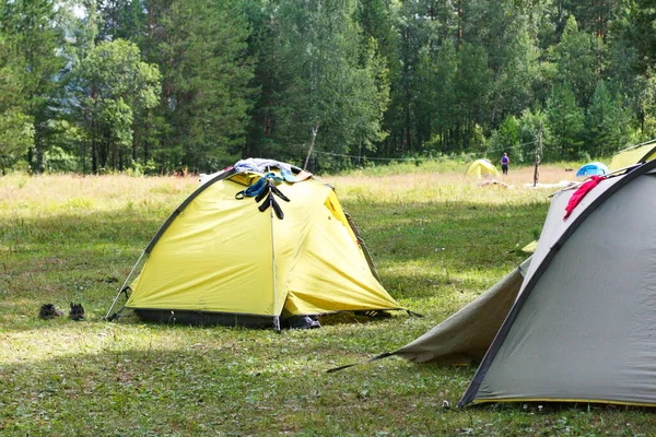 Deux Tentes Dressent Dans Forêt Des Conditions Sauvages Camping Randonnées — Photo