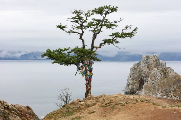夏天的贝加尔湖奥赫恩岛 沙门卡岩的自然地标景观 湖泊的天然背景 美丽的景观背景和复制空间 — 图库照片