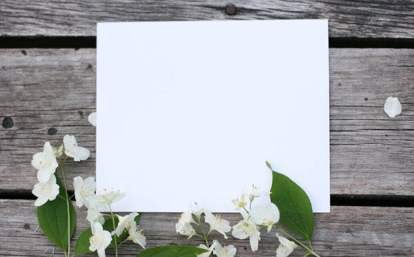 Top view background with jasmine flowers. Flowers composition.  Mock up with plants. Flat lay with Flowers on white table. Woman day concept. Copyspace for text.