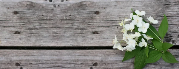 Flores Jazmín Mesa Madera Ramo Flores Tamaño Del Banner Con — Foto de Stock