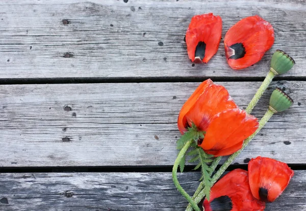 Poppy çiçekleri ile üst görünüm arka planı. Kopyalama alanı olan bir model. Tahta masada yeşil yapraklar ve çiçekler 