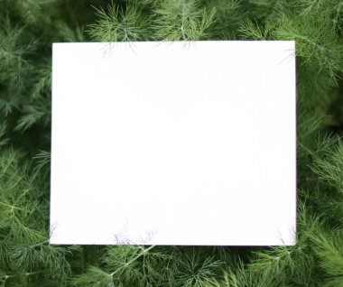 Kopya alanı olan yeşil çimen çerçeve. Bitkilerle takıl. Çiçekler beyaz masada yatıyordu..