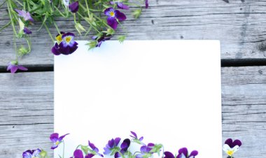 İbne çiçekleriyle çerçevelenmiş. Çiçek kompozisyonu. Bitkilerle takıl. Beyaz masada çiçeklerle yatıyordu. Metin için kopyalanma alanı. Çiçeklere odaklan.