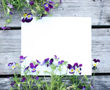 İbne çiçekleriyle çerçevelenmiş. Çiçek kompozisyonu. Bitkilerle takıl. Beyaz masada çiçeklerle yatıyordu. Metin için kopyalanma alanı. Çiçeklere odaklan.