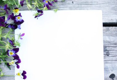 İbne çiçekleriyle çerçevelenmiş. Çiçek kompozisyonu. Bitkilerle takıl. Beyaz masada çiçeklerle yatıyordu. Metin için kopyalanma alanı. Çiçeklere odaklan.