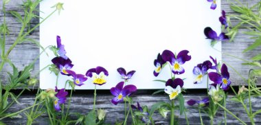 İbne çiçekleriyle çerçevelenmiş. Çiçek kompozisyonu. Bitkilerle takıl. Beyaz masada çiçeklerle yatıyordu. Metin için kopyalanma alanı. Çiçeklere odaklan.