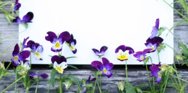 İbne çiçekleriyle çerçevelenmiş. Çiçek kompozisyonu. Bitkilerle takıl. Beyaz masada çiçeklerle yatıyordu. Metin için kopyalanma alanı. Çiçeklere odaklan.