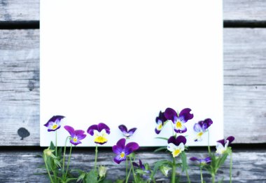 İbne çiçekleriyle çerçevelenmiş. Çiçek kompozisyonu. Bitkilerle takıl. Beyaz masada çiçeklerle yatıyordu. Metin için kopyalanma alanı. Çiçeklere odaklan.