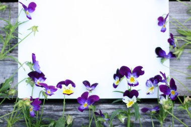 İbne çiçekleriyle çerçevelenmiş. Çiçek kompozisyonu. Bitkilerle takıl. Beyaz masada çiçeklerle yatıyordu. Metin için kopyalanma alanı. Çiçeklere odaklan.