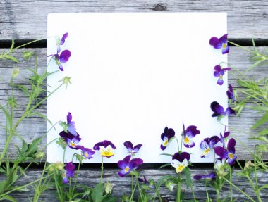 İbne çiçekleriyle çerçevelenmiş. Çiçek kompozisyonu. Bitkilerle takıl. Beyaz masada çiçeklerle yatıyordu. Metin için kopyalanma alanı. Çiçeklere odaklan.