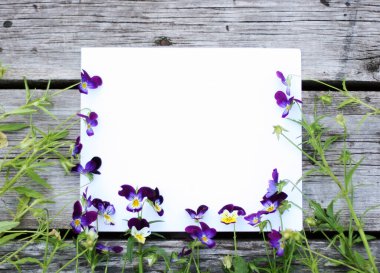 İbne çiçekleriyle çerçevelenmiş. Çiçek kompozisyonu. Bitkilerle takıl. Beyaz masada çiçeklerle yatıyordu. Metin için kopyalanma alanı. Çiçeklere odaklan.