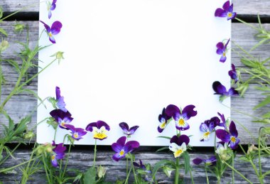 İbne çiçekleriyle çerçevelenmiş. Çiçek kompozisyonu. Bitkilerle takıl. Beyaz masada çiçeklerle yatıyordu. Metin için kopyalanma alanı. Çiçeklere odaklan.