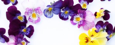 İbne çiçekleriyle çerçevelenmiş. Çiçek kompozisyonu. Bitkilerle takıl. Beyaz masada çiçeklerle yatıyordu. Metin için kopyalanma alanı. Çiçeklere odaklan.