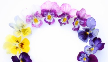 Yuvarlak çerçeve, çiçekler ve yapraklarla. İbne çiçekleriyle üst görünüm arka plan. Çiçek kompozisyonu. Bitkilerle takıl. Beyaz masada çiçeklerle yatıyordu. Kadın günü konsepti. Metin için kopyalama alanı.