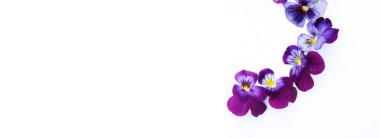 Yuvarlak çerçeve, çiçekler ve yapraklarla. İbne çiçekleriyle üst görünüm arka plan. Çiçek kompozisyonu. Bitkilerle takıl. Beyaz masada çiçeklerle yatıyordu. Sancak boyutu. Metin için kopyalama alanı.