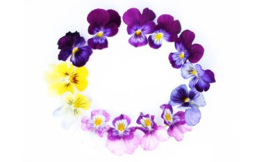 Yuvarlak çerçeve, çiçekler ve yapraklarla. İbne çiçekleriyle üst görünüm arka plan. Çiçek kompozisyonu. Bitkilerle takıl. Beyaz masada çiçeklerle yatıyordu. Kadın günü konsepti. Metin için kopyalama alanı.