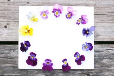 Yuvarlak çerçeve, çiçekler ve yapraklarla. İbne çiçekleriyle üst görünüm arka plan. Çiçek kompozisyonu. Bitkilerle takıl. Beyaz masada çiçeklerle yatıyordu. Kadın günü konsepti. Metin için kopyalama alanı.