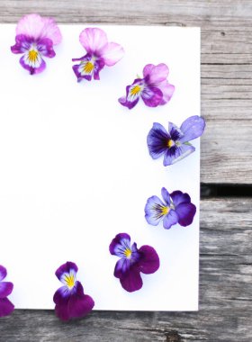 İbne çiçekleriyle çerçevelenmiş. Çiçek kompozisyonu. Bitkilerle takıl. Beyaz masada çiçeklerle yatıyordu. Metin için kopyalanma alanı. Çiçeklere odaklan.