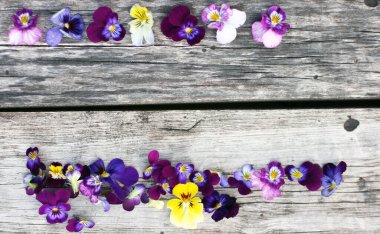 İbne çiçekleriyle takıl. Beyaz masada çiçeklerle yatıyordu. Metin için kopyalanma alanı. Çiçeklere odaklan.