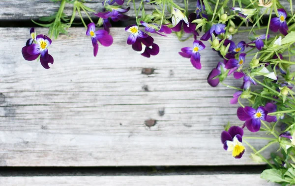 Engáñate Con Flores Marica Acostado Plano Con Flores Sobre Mesa — Foto de Stock