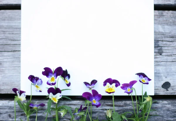 İbne çiçekleriyle çerçevelenmiş. Çiçek kompozisyonu. Bitkilerle takıl. Beyaz masada çiçeklerle yatıyordu. Metin için kopyalanma alanı. Çiçeklere odaklan.