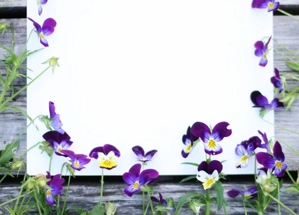 İbne çiçekleriyle çerçevelenmiş. Çiçek kompozisyonu. Bitkilerle takıl. Beyaz masada çiçeklerle yatıyordu. Metin için kopyalanma alanı. Çiçeklere odaklan.