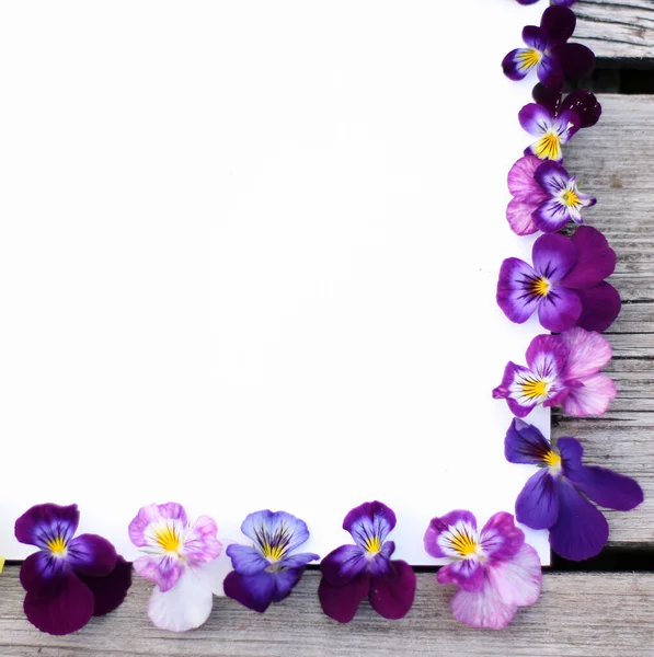 Frame with pansy flowers. Flowers composition. Mock up with plants. Flat lay with flowers on white table. Copyspace for text. Focus on flowers