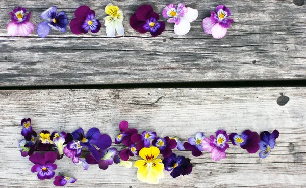 İbne çiçekleriyle takıl. Beyaz masada çiçeklerle yatıyordu. Metin için kopyalanma alanı. Çiçeklere odaklan.