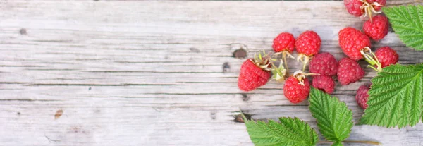 Raspberries on a wooden background. Banner size with copy space. Top view of ripe berries