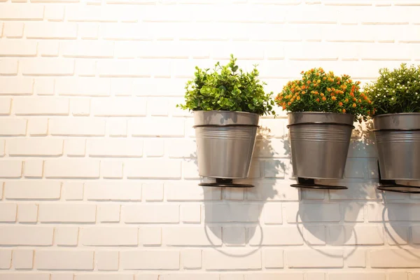 Pared Interior Moderno Con Pequeña Planta Maceta Jardín Fotos De Stock