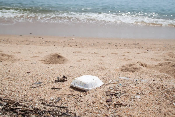 Пінна Коробка Сміття Пляжі Забруднення Навколишнє Середовище — стокове фото