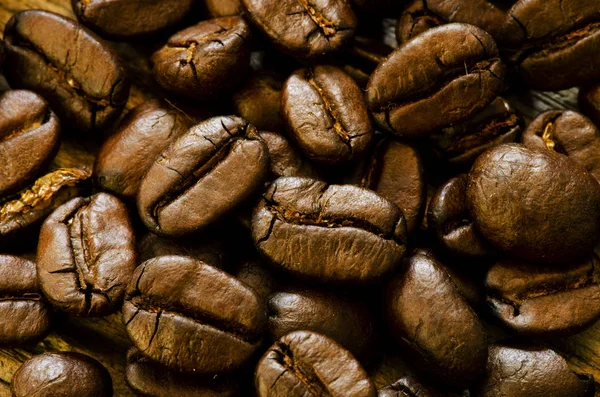 Coffee seed close up