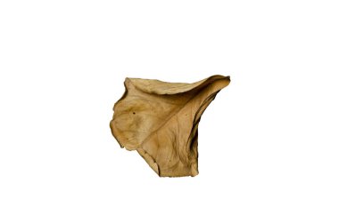 Kırpma yolu ile kuru yaprak