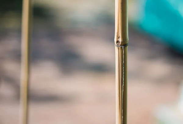 ince bambu stick