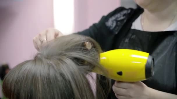 Peluquería hace peinado para niña. peluquería utiliza el secador de pelo — Vídeos de Stock