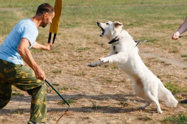 Eğitmen dersi beyaz İsviçreli çoban köpeğiyle birlikte yürütür. Köpek sahibini korur..