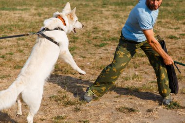 Eğitmen dersi beyaz İsviçreli çoban köpeğiyle birlikte yürütür. Köpek sahibini korur..