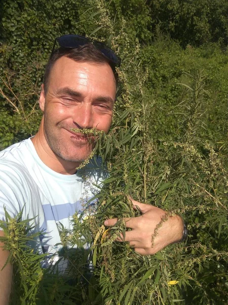 Happy Caucasian Man Makes Selfie Marijuana Plants — Stock Photo, Image