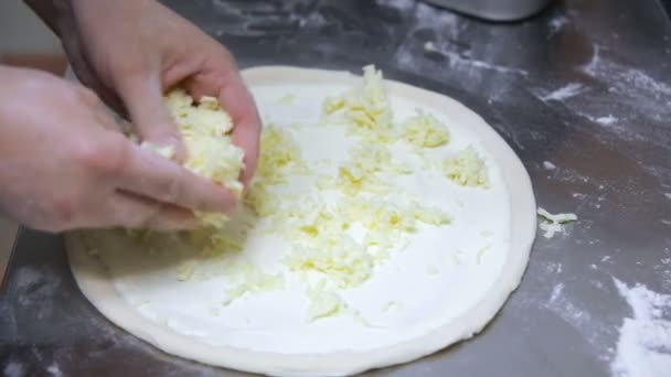 クックは 粉チーズを振りかけるピザ生地 チーズはピザの主な成分 — ストック動画