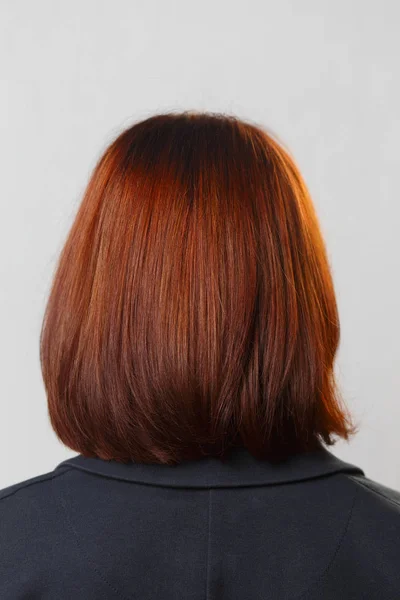 Kadın Baş Boyalı Kahverengi Kıllar Ile Arkadan Görünüş — Stok fotoğraf