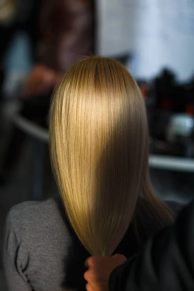 Stylist demonstrate female blonde hair after dying in beauty salon. Rear view.