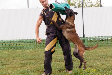 Eğitmen Dersi Belçika çoban köpeği ile yürütmektedir. Köpek sahibine korur.