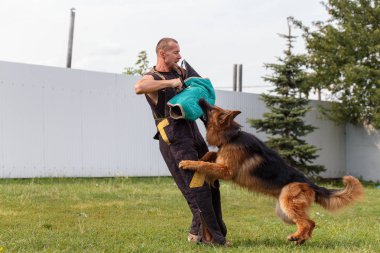 Eğitmenin ders Alman çoban köpeği ile yürütmektedir. Köpek sahibine korur.