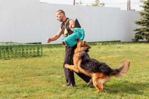 Instruktören Genomför Lektionen Med Den Tyska Herde Förföljer Hund Skyddar — Stockfoto