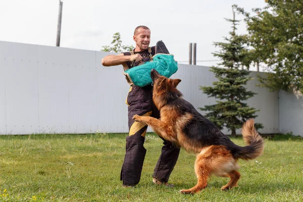 Instructeur Donne Leçon Avec Chien Berger Allemand Chien Protège Son — Photo