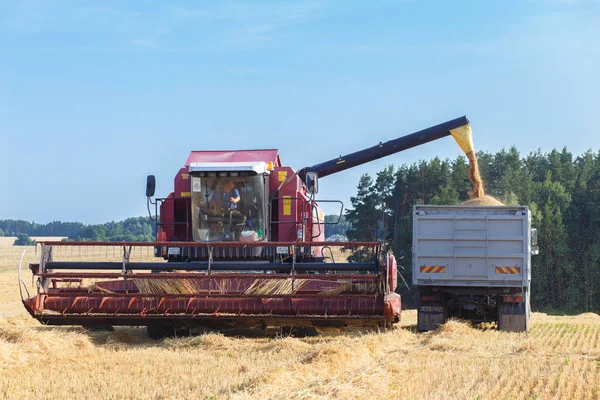 白俄罗斯赫罗德纳 2015 收割机是散装收获的粮食进入卡车 — 图库照片