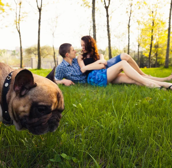 Casal jovem sentado com cão — Fotografia de Stock